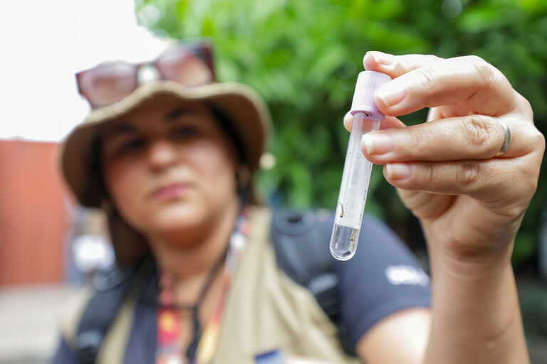 Casos de dengue caem 97% no Distrito Federal